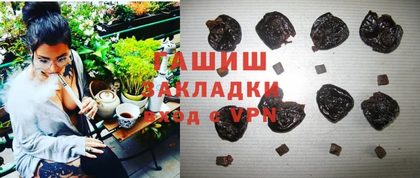 стаф Алзамай