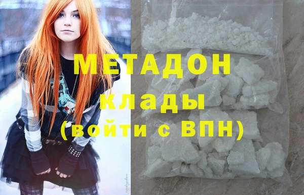 стаф Алзамай