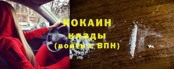 стаф Алзамай