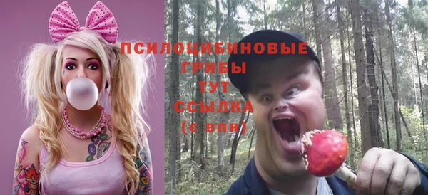 не бодяженный Алексин