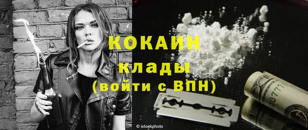 стаф Алзамай