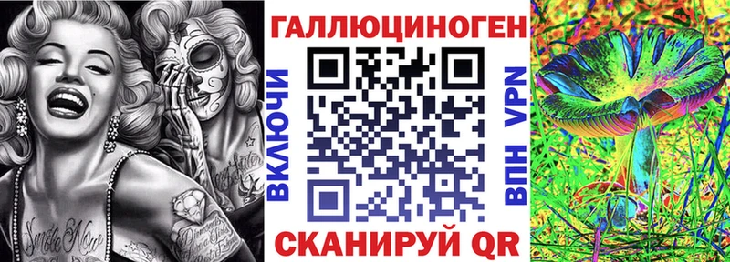 где найти наркотики  Новоузенск  mega ONION  Галлюциногенные грибы прущие грибы 