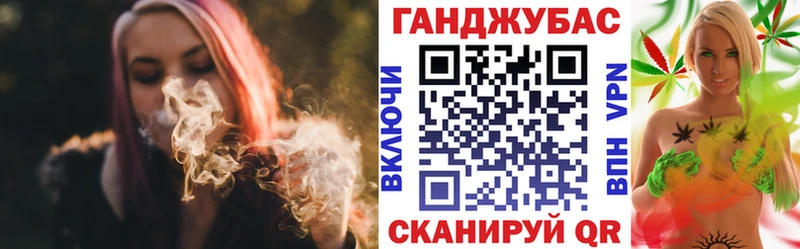 Бошки Шишки план  Новоузенск 